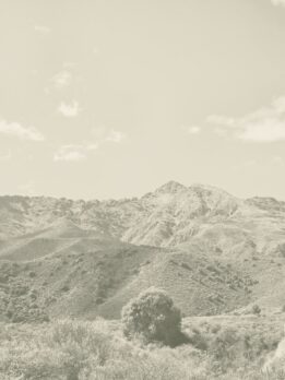 20250921_105948 copia (1)